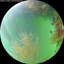./images/calvert/underwater/20260817/underwater20260817_163002M.jpg