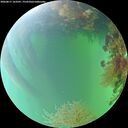./images/calvert/underwater/20260817/underwater20260817_163501M.jpg