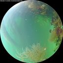 ./images/calvert/underwater/20260817/underwater20260817_165002M.jpg