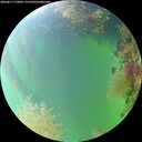 ./images/calvert/underwater/20260817/underwater20260817_170001M.jpg