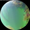 ./images/calvert/underwater/20260817/underwater20260817_170501M.jpg
