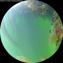 ./images/calvert/underwater/20260817/underwater20260817_171001M.jpg