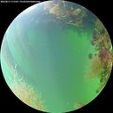 ./images/calvert/underwater/20260817/underwater20260817_171501M.jpg