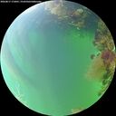 ./images/calvert/underwater/20260817/underwater20260817_172001M.jpg