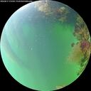 ./images/calvert/underwater/20260817/underwater20260817_172501M.jpg