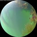 ./images/calvert/underwater/20260817/underwater20260817_174502M.jpg