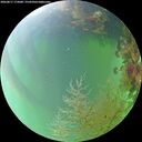 ./images/calvert/underwater/20260817/underwater20260817_175001M.jpg