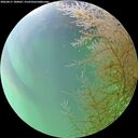./images/calvert/underwater/20260817/underwater20260817_180001M.jpg