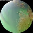 ./images/calvert/underwater/20260817/underwater20260817_180501M.jpg