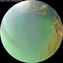 ./images/calvert/underwater/20260817/underwater20260817_182002M.jpg