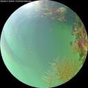 ./images/calvert/underwater/20260817/underwater20260817_183001M.jpg