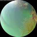 ./images/calvert/underwater/20260817/underwater20260817_183501M.jpg