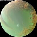 ./images/calvert/underwater/20260817/underwater20260817_191501M.jpg