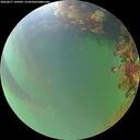 ./images/calvert/underwater/20260817/underwater20260817_194502M.jpg