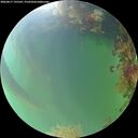 ./images/calvert/underwater/20260817/underwater20260817_195501M.jpg