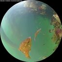./images/calvert/underwater/20260817/underwater20260817_200002M.jpg