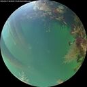 ./images/calvert/underwater/20260817/underwater20260817_202001M.jpg