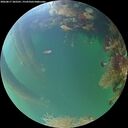 ./images/calvert/underwater/20260817/underwater20260817_202501M.jpg