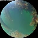./images/calvert/underwater/20260817/underwater20260817_203001M.jpg