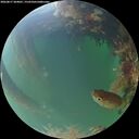 ./images/calvert/underwater/20260817/underwater20260817_204001M.jpg