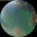 ./images/calvert/underwater/20260817/underwater20260817_204501M.jpg