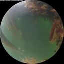 ./images/calvert/underwater/20260817/underwater20260817_205001M.jpg