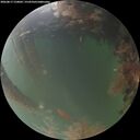 ./images/calvert/underwater/20260817/underwater20260817_210001M.jpg