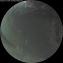 ./images/calvert/underwater/20260817/underwater20260817_212002M.jpg