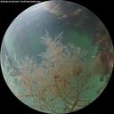 ./images/calvert/underwater/20260818/underwater20260818_062502M.jpg