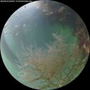 ./images/calvert/underwater/20260818/underwater20260818_063001M.jpg