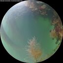 ./images/calvert/underwater/20260818/underwater20260818_065002M.jpg