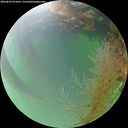 ./images/calvert/underwater/20260818/underwater20260818_071001M.jpg