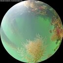 ./images/calvert/underwater/20260818/underwater20260818_080501M.jpg