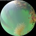 ./images/calvert/underwater/20260818/underwater20260818_081002M.jpg