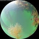 ./images/calvert/underwater/20260818/underwater20260818_081501M.jpg