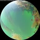 ./images/calvert/underwater/20260818/underwater20260818_084502M.jpg