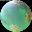 ./images/calvert/underwater/20260818/underwater20260818_085001M.jpg