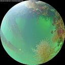 ./images/calvert/underwater/20260818/underwater20260818_085501M.jpg