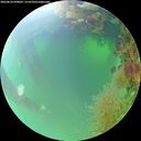./images/calvert/underwater/20260818/underwater20260818_090001M.jpg