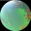./images/calvert/underwater/20260818/underwater20260818_093501M.jpg