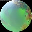 ./images/calvert/underwater/20260818/underwater20260818_094001M.jpg