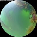 ./images/calvert/underwater/20260818/underwater20260818_095501M.jpg