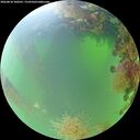 ./images/calvert/underwater/20260818/underwater20260818_100501M.jpg