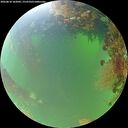 ./images/calvert/underwater/20260818/underwater20260818_102001M.jpg