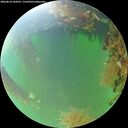 ./images/calvert/underwater/20260818/underwater20260818_104501M.jpg