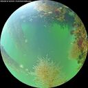 ./images/calvert/underwater/20260818/underwater20260818_105501M.jpg