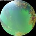 ./images/calvert/underwater/20260818/underwater20260818_110001M.jpg