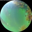 ./images/calvert/underwater/20260818/underwater20260818_111002M.jpg