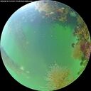 ./images/calvert/underwater/20260818/underwater20260818_111501M.jpg
