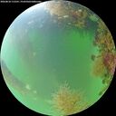 ./images/calvert/underwater/20260818/underwater20260818_112501M.jpg